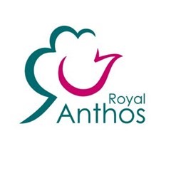 Royal Anthos