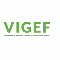 Vigef